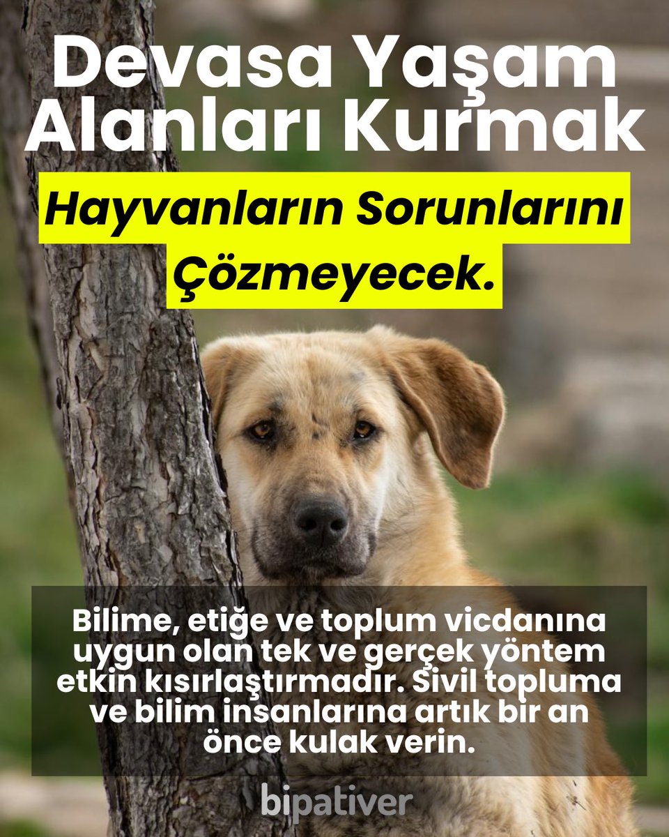 3 aşamalı büyük hata! ❌

Yeni Şafak’ta yer alan habere göre, Haziran ayına kadar ülke genelinde uygulamaya geçmesi planlanan ve binlerce hayvanın toplama kamplarında biriktirilmesini içeren yaşam alanları projeleri için harekete geçildi. 

Devasa yaşam alanları kurmak, tarihin