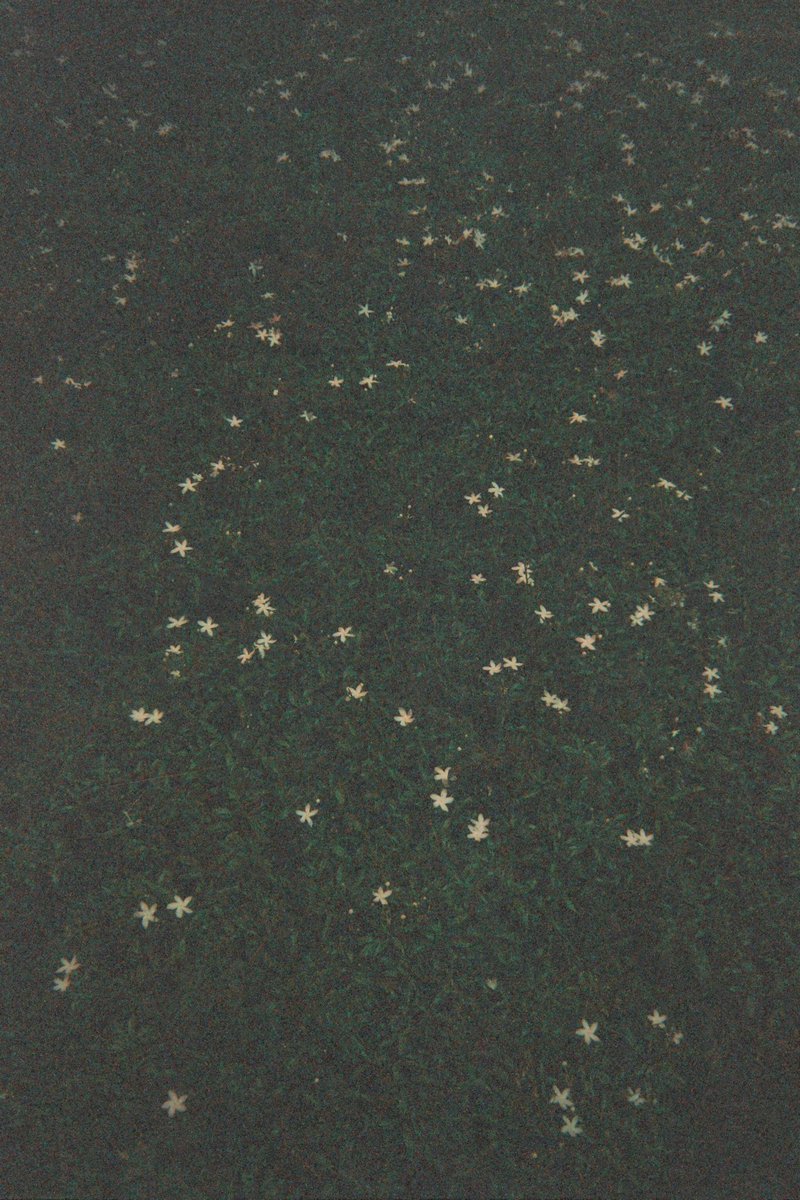 lg (@_lu0o) on Twitter photo 