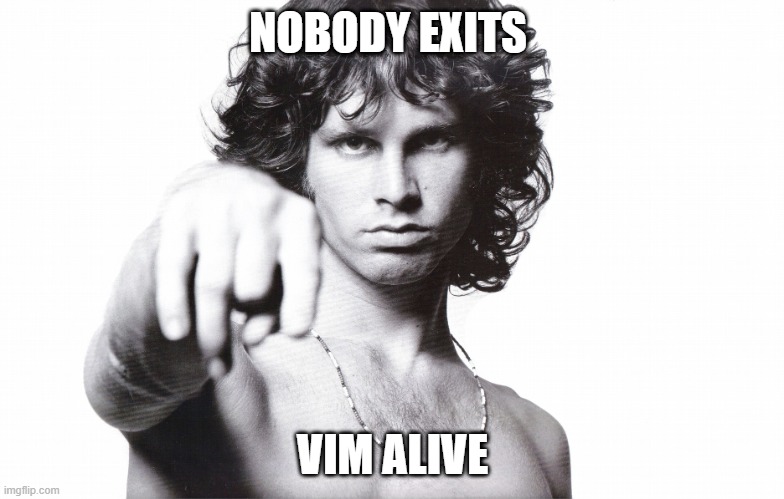 #vim #vim4eva #neovim