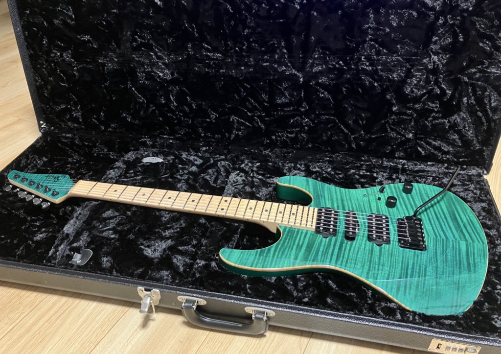 fujitagt's tweet photo. #ギターで目の保養 https://t.co/3fnrdmsdm5