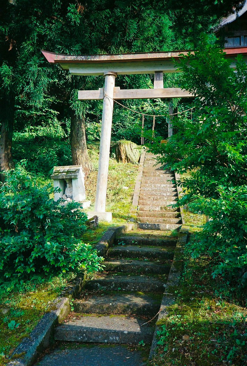 enmt__k's tweet photo. 自分の写真が大好きなナルシストなので皆様にもっと見て欲しい https://t.co/H7JnLqrqNp