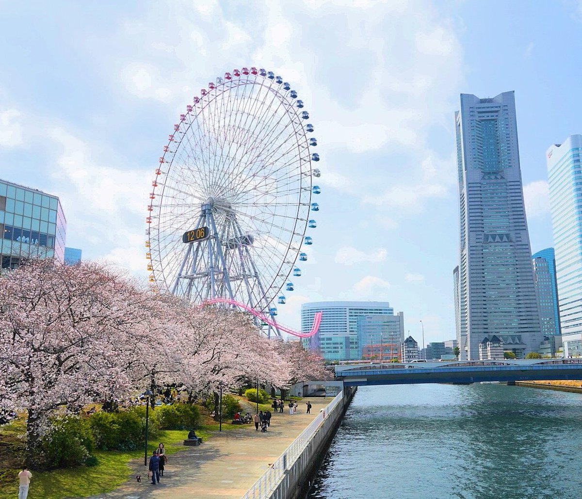 Mmirai_SlowLife's tweet photo. Cherry blossoms from Yokoyama Minatomirai, Japan🌸
#Yokoyama #minatomirai #japan https://t.co/CNaLUrIkjP