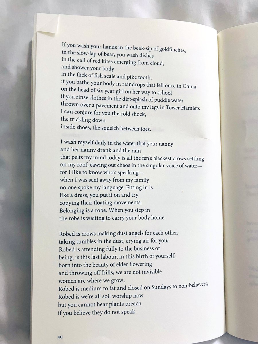 ‘Belonging is a robe.’ — Alice Willitts 

#mypoetrybookshelf