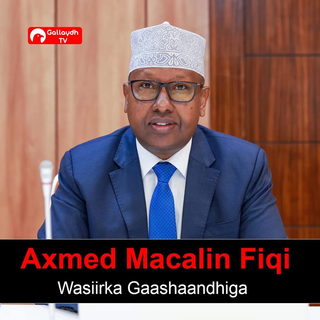 Axmed Macaliln Fiqi ayaa loo magacaabay wasiirka gaashaandhiga.