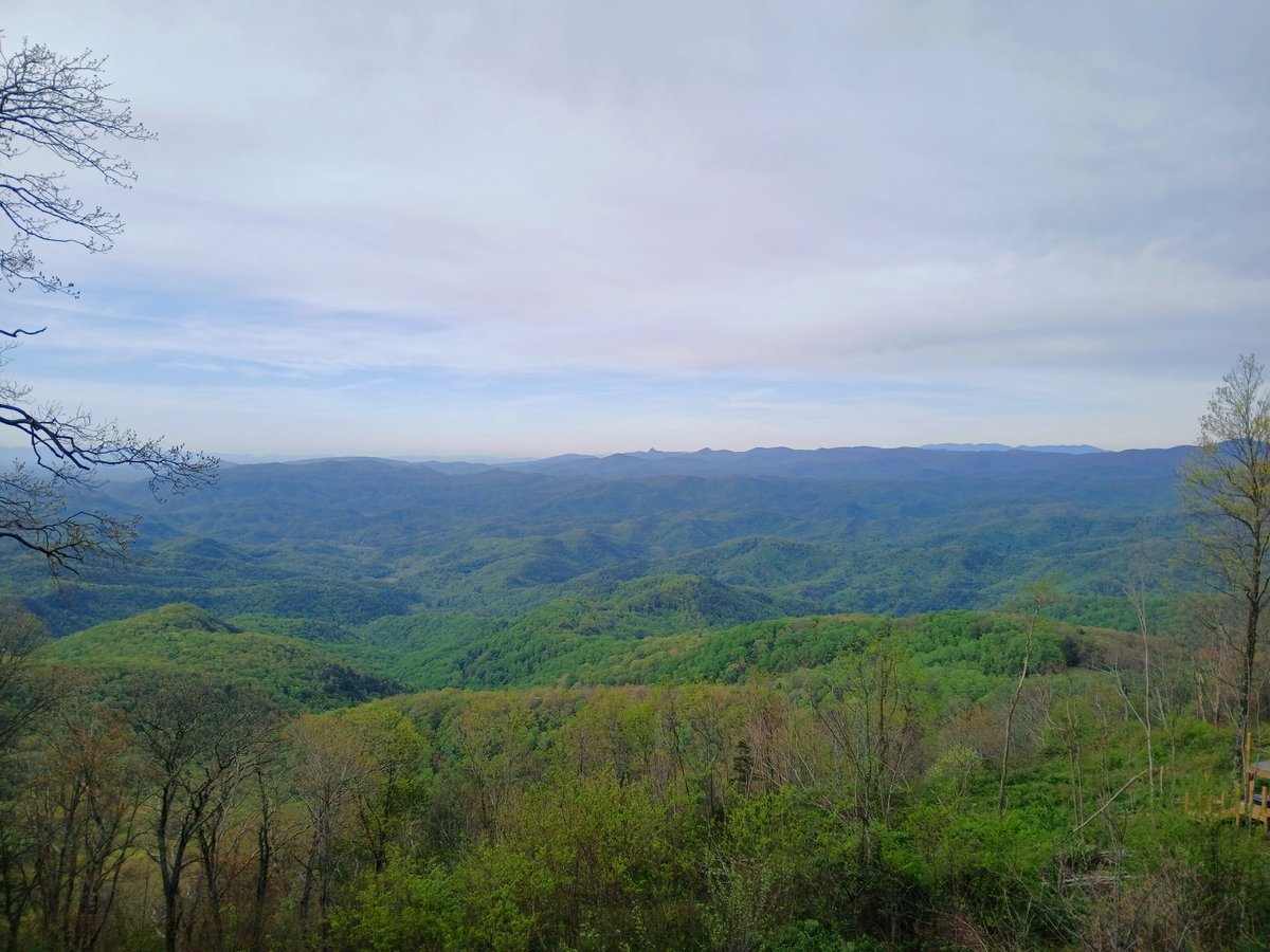 RememberMe_2018's tweet image. A smackering of trees are all that I sees
before me on a sea of green
such leafy repose as many all knows
are what keep our planet so clean.

SDMCGUIRE 🎩🤘