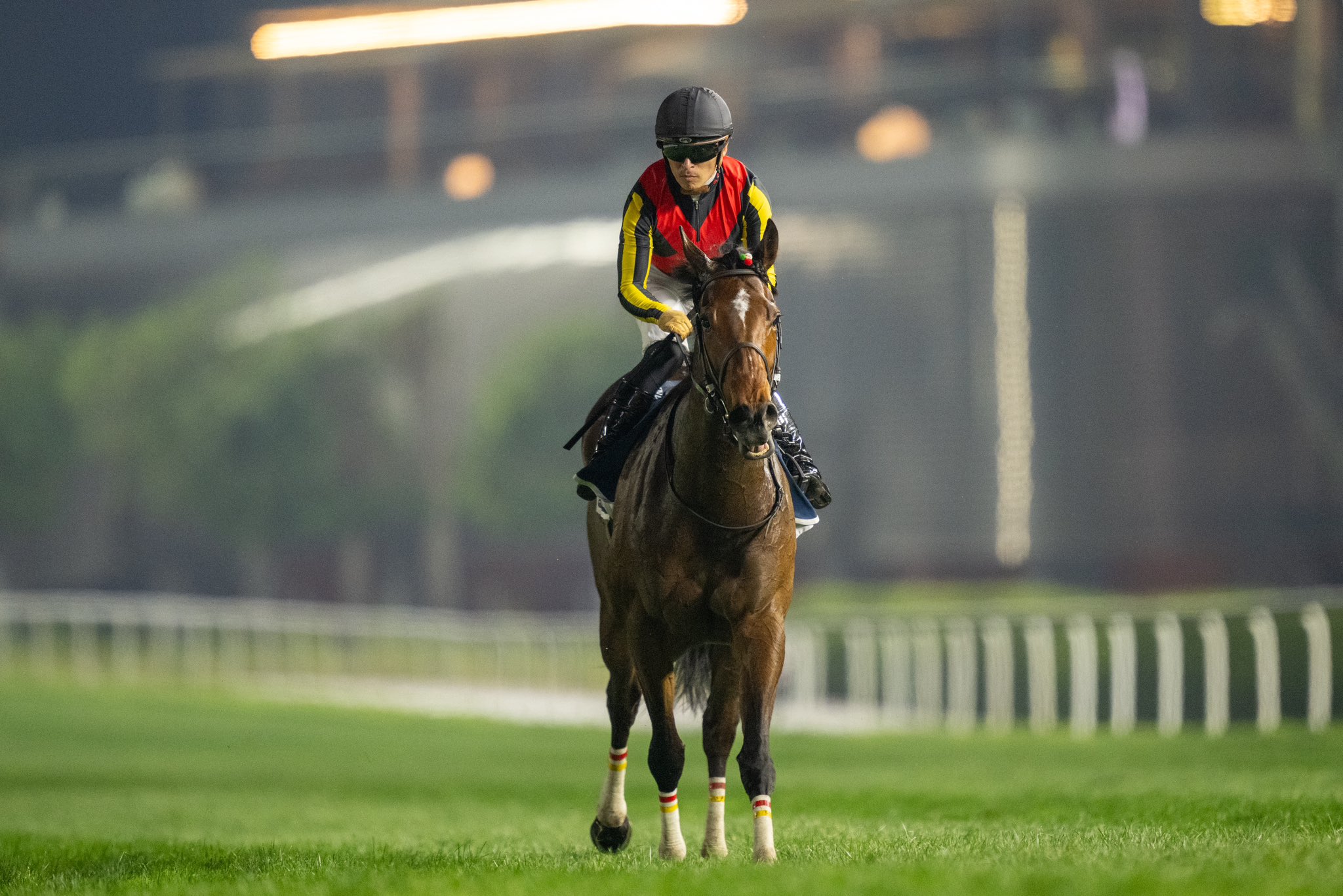 まねき馬 No.2428リバティアイランド追悼SP まねき馬 追悼 SP 2428 リバティアイランド 競馬カード まねき馬
