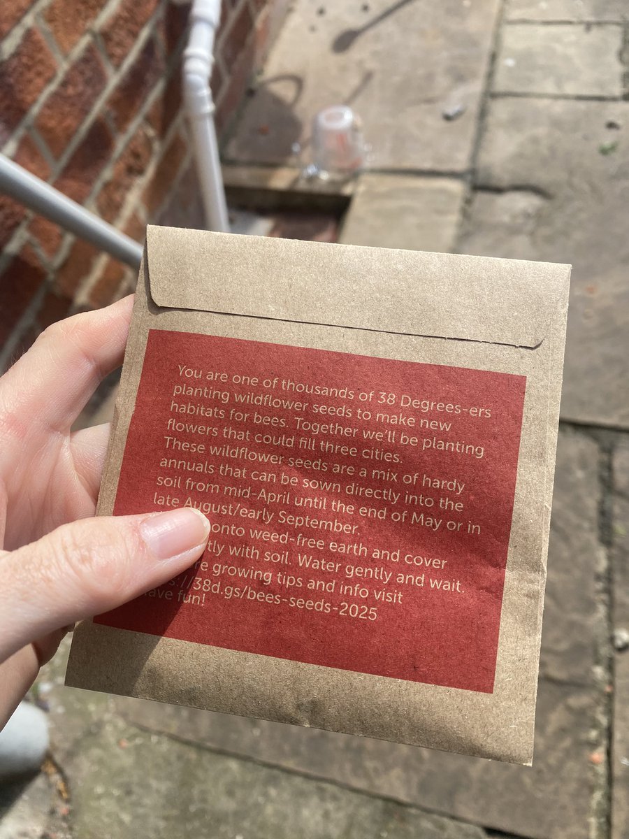 orangina17's tweet image. @38degrees #seedsforbees