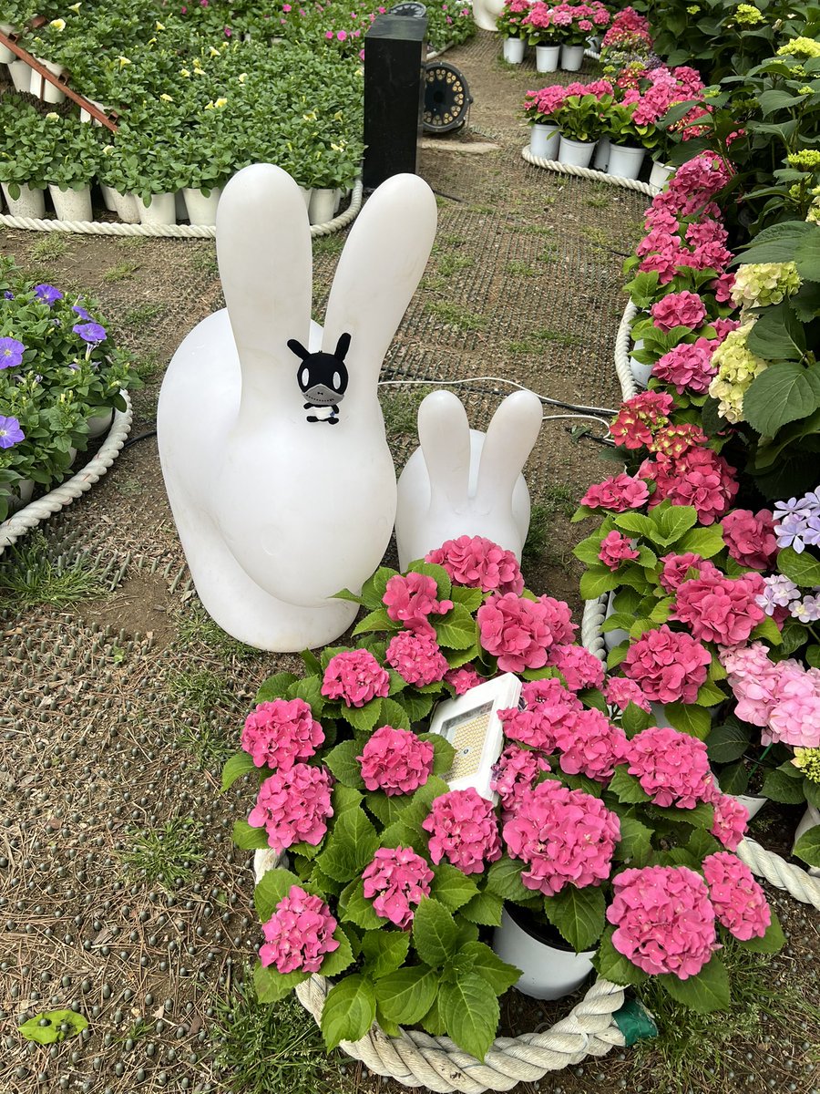 qndnfl's tweet photo. ์ ๋ค์ ๋ชจ์ฌ ์ฌ์ง์ฐ์!
#๋งํ ํค #matoki https://t.co/hJTJ0ZshDs