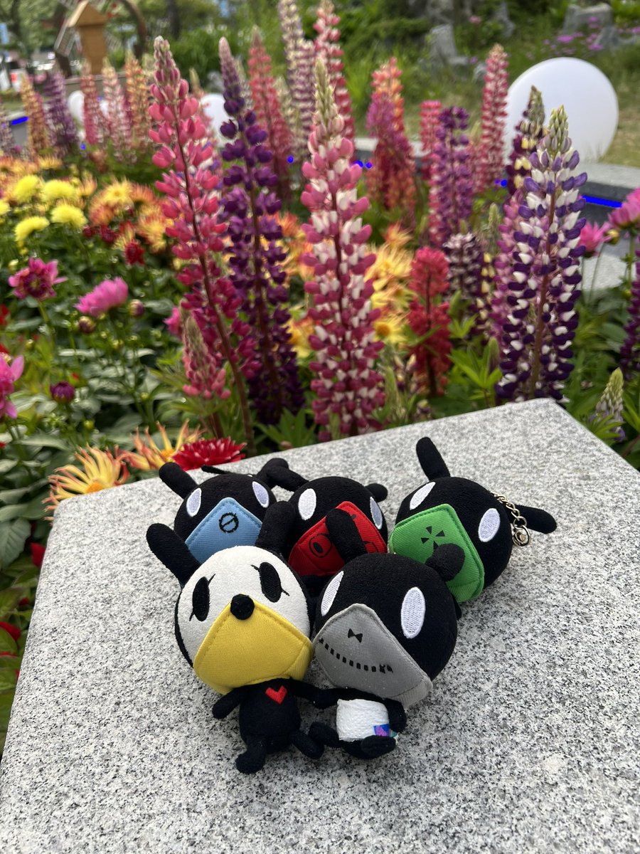 qndnfl's tweet photo. ์ ๋ค์ ๋ชจ์ฌ ์ฌ์ง์ฐ์!
#๋งํ ํค #matoki https://t.co/hJTJ0ZshDs