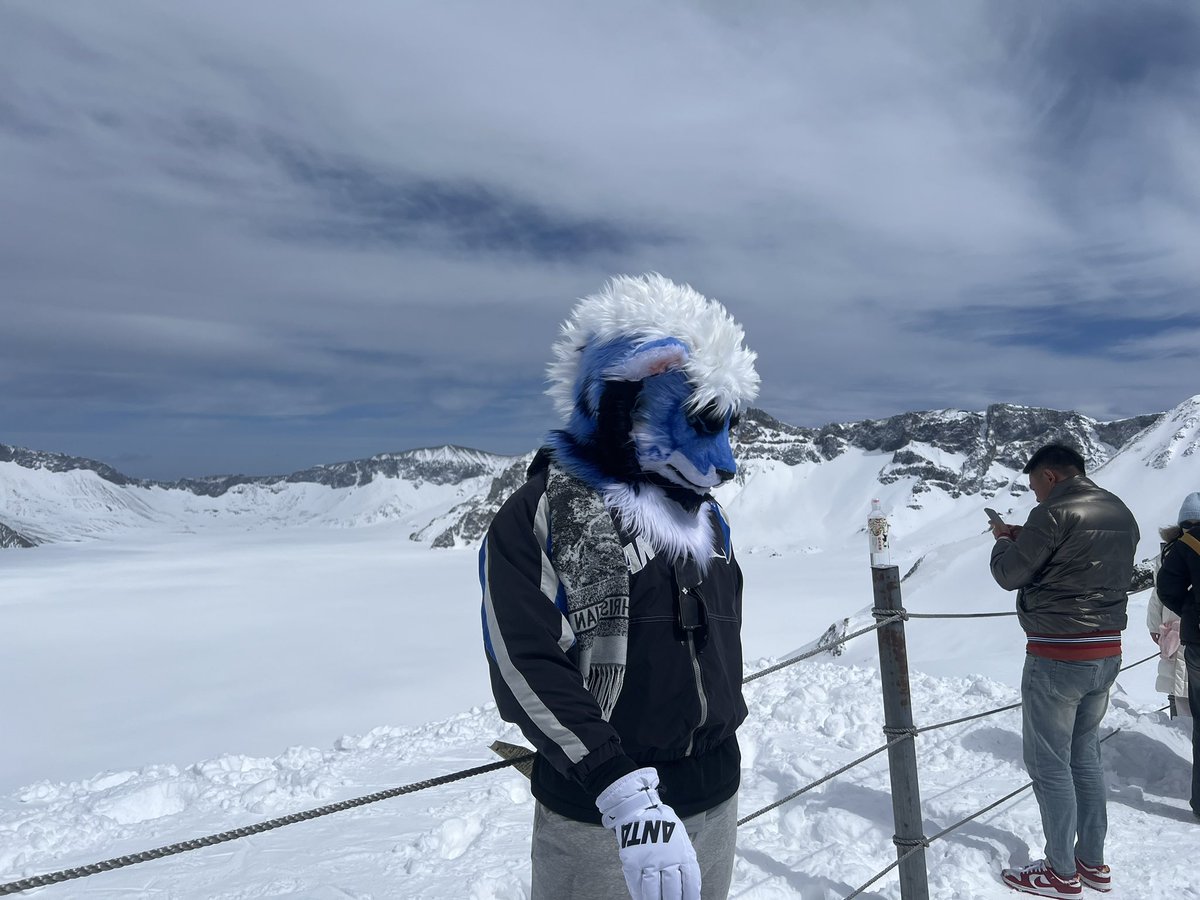 长白山上有野生🐯