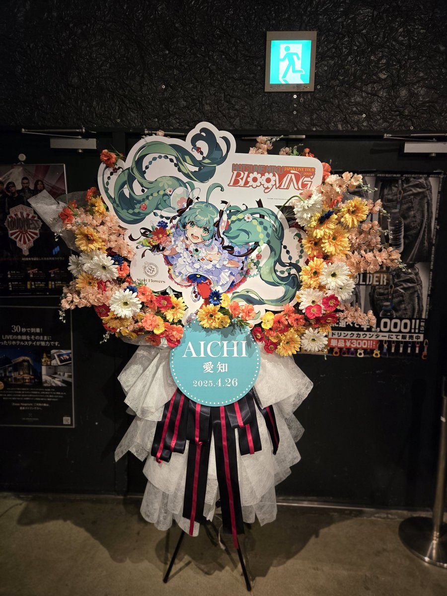 久しぶりに初音ミク達に会いに行きました。
可愛かったなーよほほ。