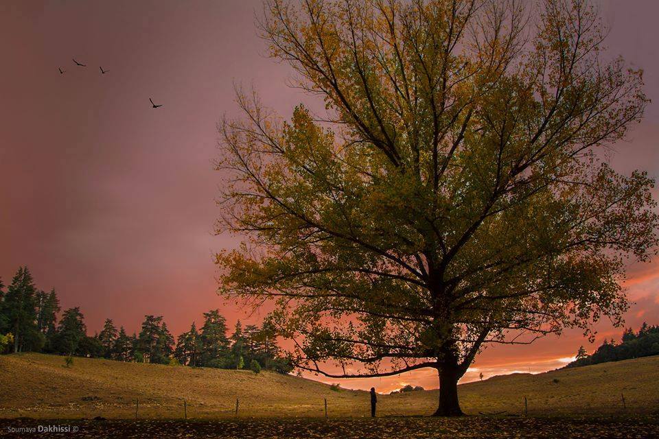 Abdul Ghafoor (@ghafoor0088290) on Twitter photo 