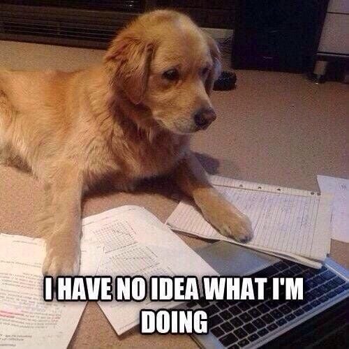 prime_writing's tweet image. That moment in a group project when everyone’s crushing it, and you’re just pretending to be deeply thinking... so no one asks you anything.
prime-writing.com
#joke #collegememe #paper #essay #collegelife #writingservice