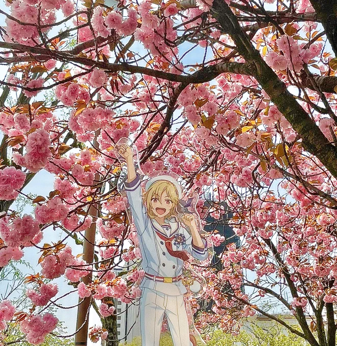 アフヌンいてきた
