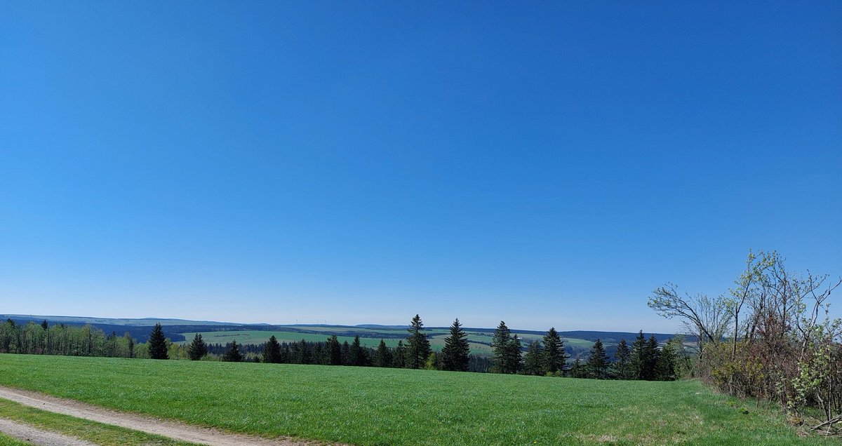 drzwinsch's tweet photo. Das Erzgebirge wird grün
#Schellerhau #kamm https://t.co/iAT4plDkYW