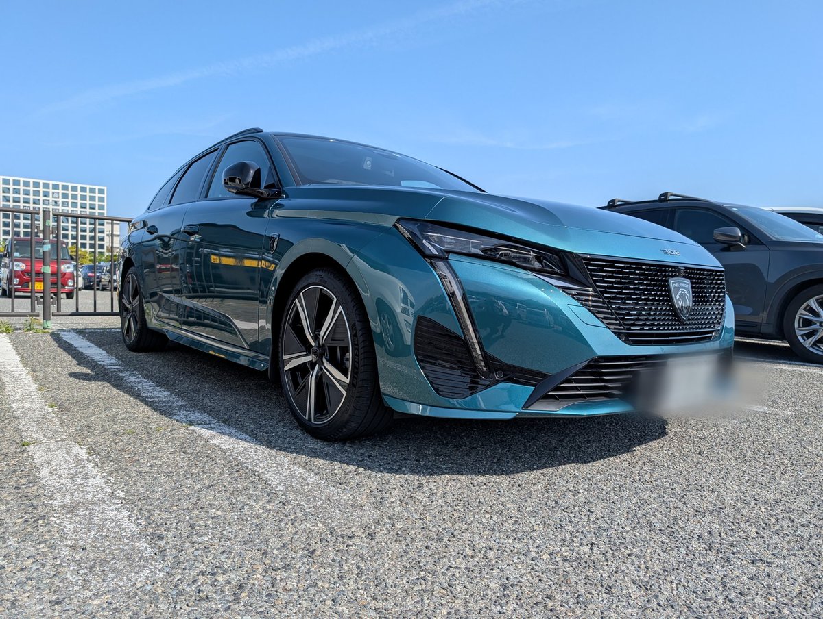 しにっち.Leo tweet media