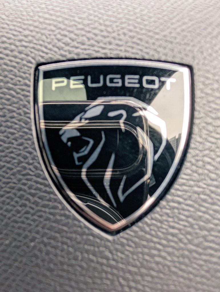 しにっち.Leo tweet media