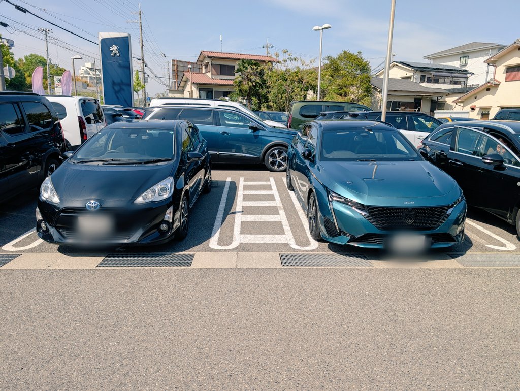 しにっち.Leo tweet media