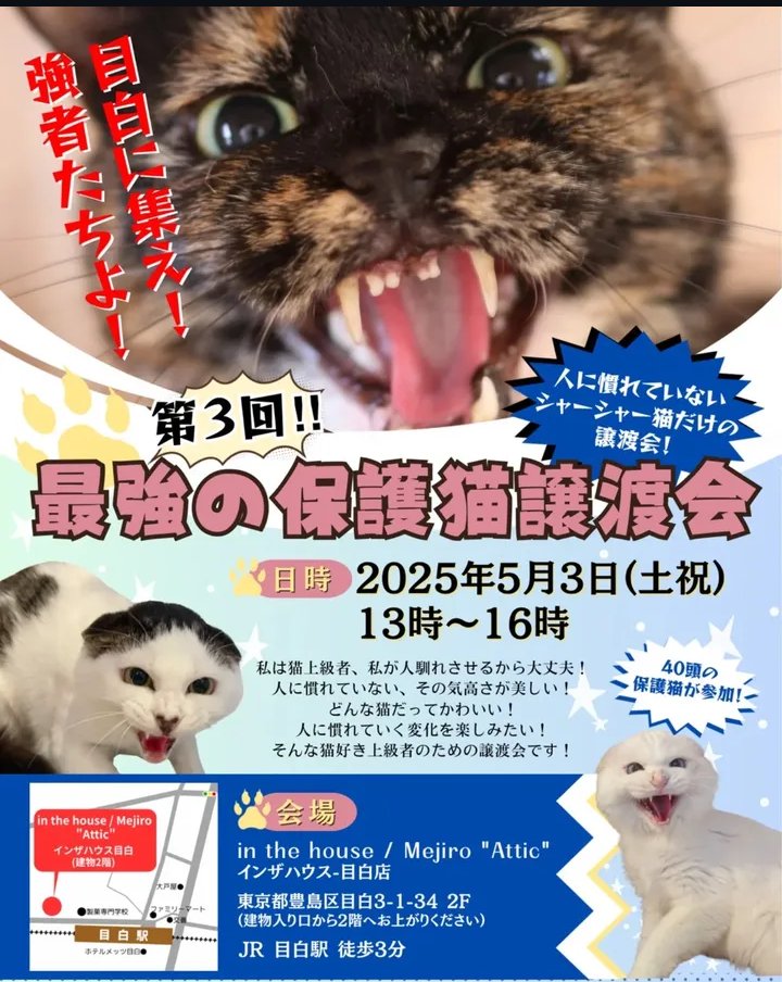 目白に集え！強者たちよ！

第３回最強の保護猫譲渡会開催のお知らせ

猫はどんな猫だってかわいい！

人に慣れていないその気高さがいい！

私が慣れさせるから大丈夫！

人に慣れていく変化を楽しみたい！

人に慣れていないのは
それだけつらい過去があったということ。