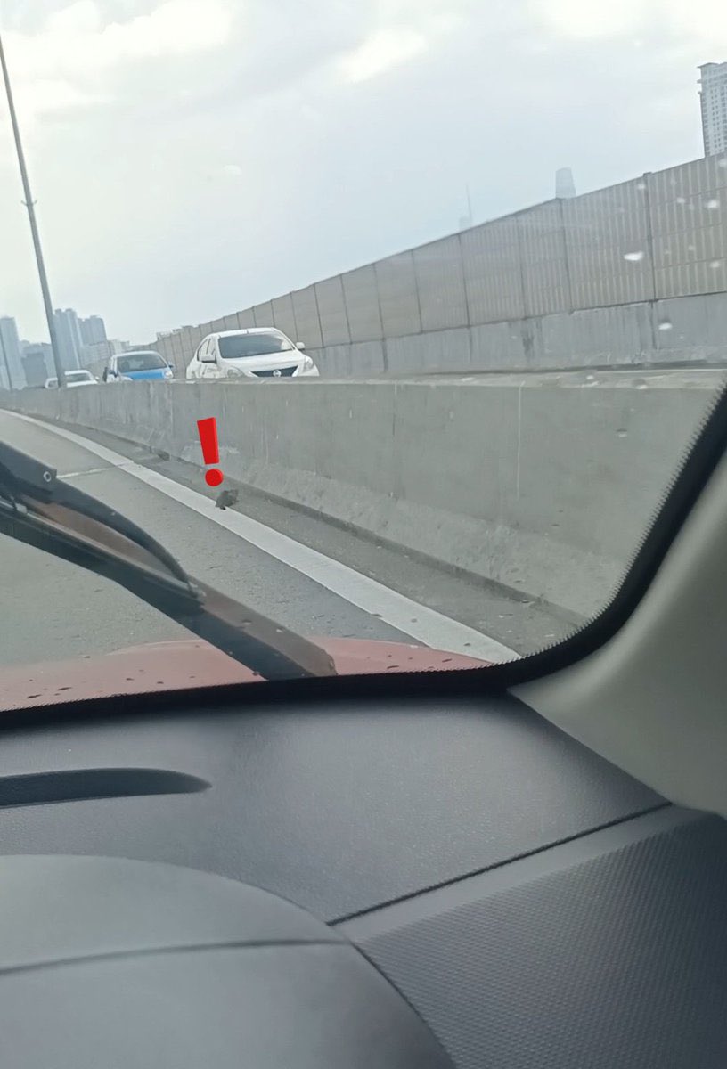 🆘🆘🆘🆘🆘
Korangg kitten ni terjatuh dkt fly over kemudian di langgar. Jom tolong ain dgn vet bills dia. Doakana dia baik2 je semoga dia kuat 🙏🏻😭