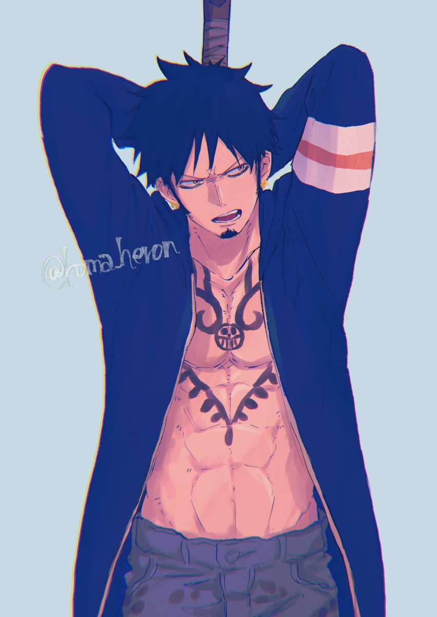 狛鷺 (@koma_heron) on Twitter photo 