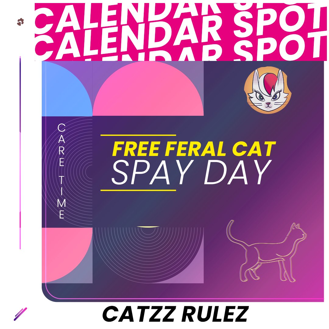 PussDAO's tweet photo. Today’s for the unseen heroes: the feral cats 🐾

Spaying saves lives, builds healthier colonies, and gives these wild hearts a better shot.

#PUSSDAO stands with every paw out there 💛

#SpayDay #catlovers https://t.co/paKusNZy4b