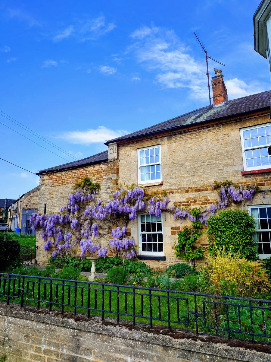 Lewis 🦠🧬🌈 tweet media