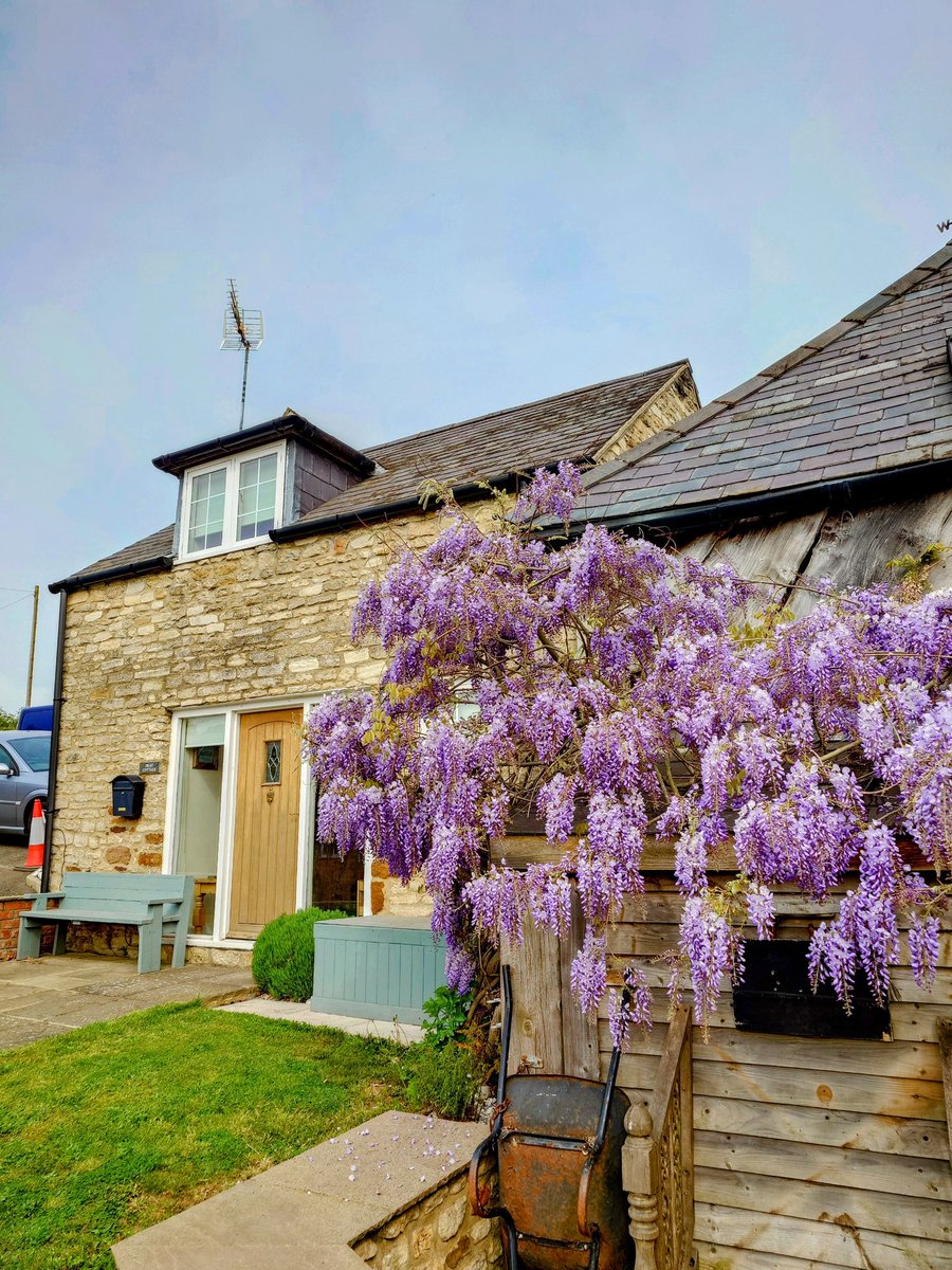 Lewis 🦠🧬🌈 tweet media