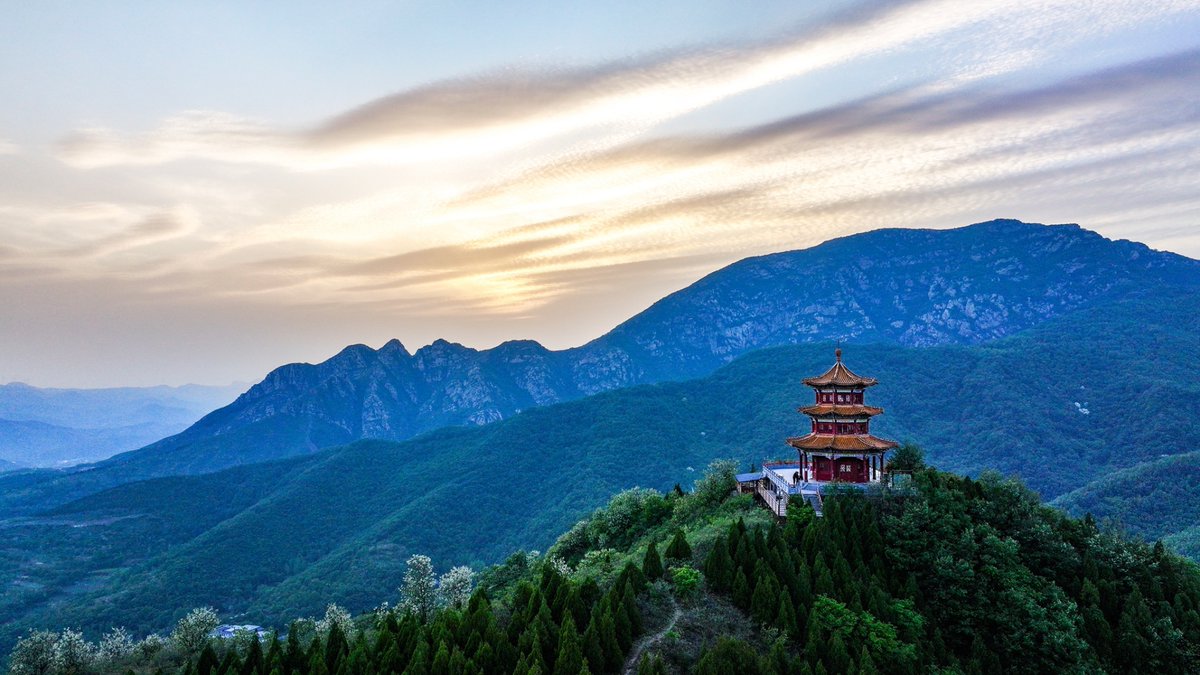 ihenan_'s tweet photo. ⛰️At Mount Reclining Buddha (Wofo #Mountain) in Dahongzhai, Yuzhou City, mountain flowers were in full bloom under the glowing #sunset.
📸Photo by Wang Yueqi
#JoinTheBloom #Henan #album #photo #photograghy #PhotographyIsArt #blossomwatch #picture #flower #河南 #nature #ecology #FlowersOnX #Scenery