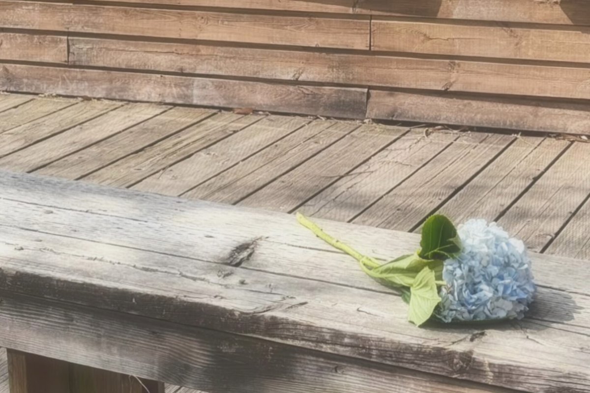 blauelatum's tweet photo. #bubbleion; like dried flowers, our colors fade. all of the days we had... maybe someday, they'll fade away ๐ฅ https://t.co/adLwkaiLIH