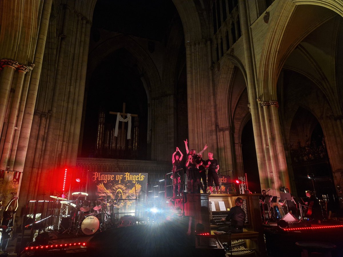 Alice Kavanagh tweet media