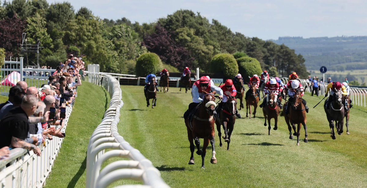 Hexham Racecourse tweet media