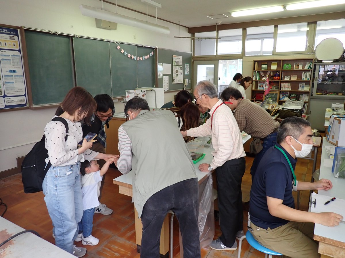 itakon_net's tweet image. 4月20日(日)は、「大阪やおミュージアムフェスティバル2025」に伊丹市昆虫館と参加してきました
racco-taiken.com/sionji/archive…
「きんたい廃校博物館」と「八尾廃校SATODUKURI BASE」会場で、虫のふれあいと、キーホルダー作りを行い、たくさんの来場者の方に虫とふれあっていただきました。