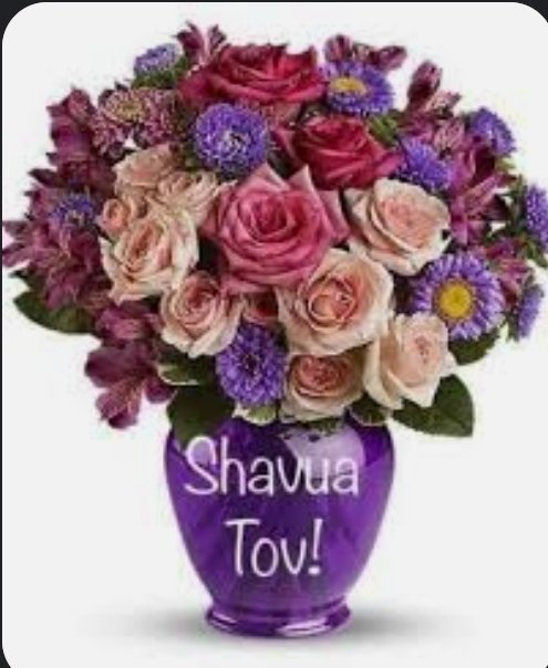 1959Goldstein's tweet photo. @Mieke35735862 A shainen dank Mispacha ✡️
To u and yours as well my dear friend 🕎
Am Yisrael Chai ✡️
🙏✌️🇺🇦☮️🌎🇮🇱🇺🇸
#WetWorkPutin
✡️📖🕎🕍🔯😷🖖☣️✌️☮️👍🤞👌♏💛❤️🗽🇺🇸🇮🇱🕯️🕯️🇺🇦 https://t.co/wywbWSogt1