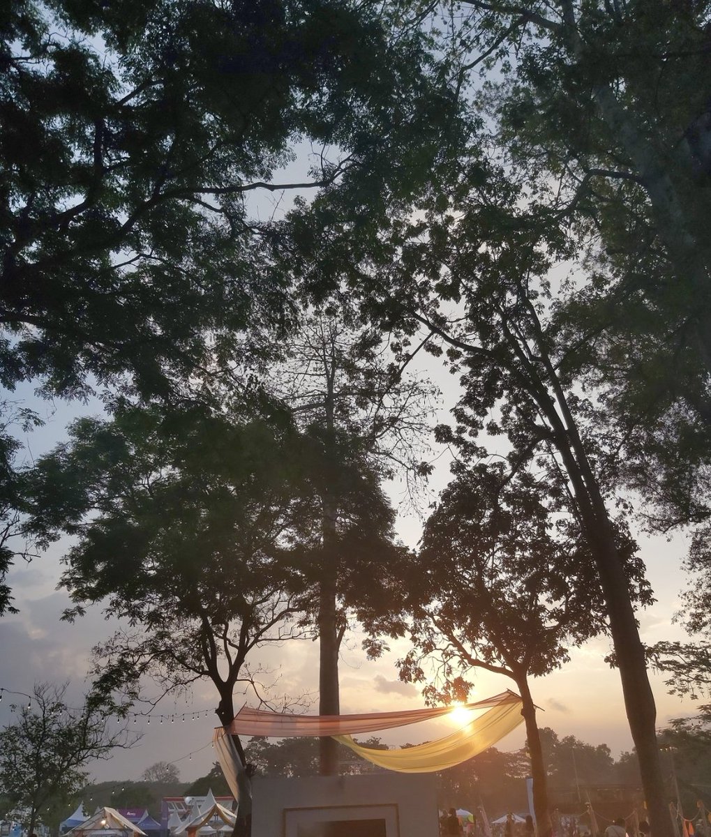 pllindahline's tweet image. Maybe tomorrow🍀
Yokohama Day 2🌸

#SunsetSerenadeForWonpil