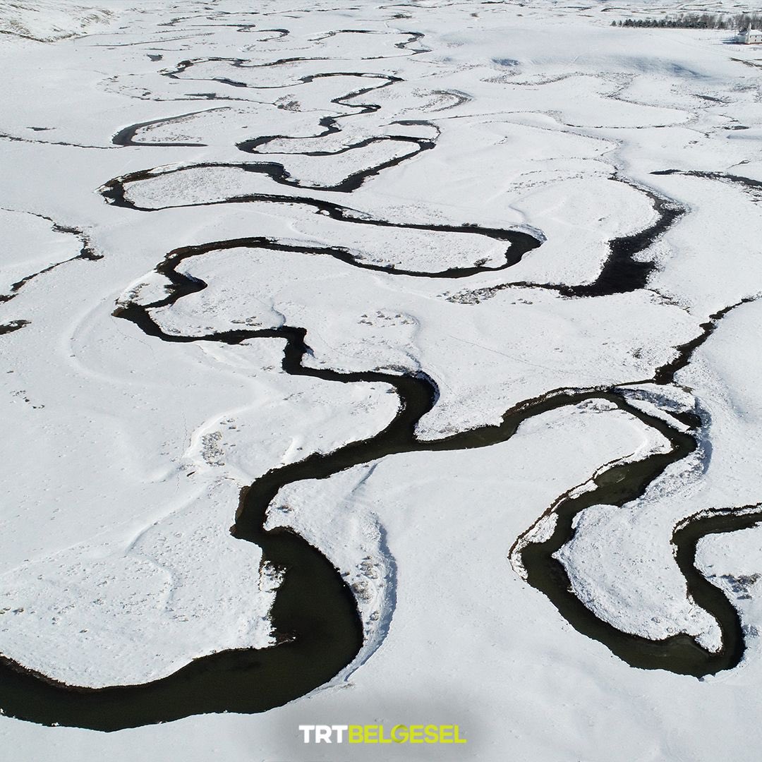 Ordu, yeşilin bin bir tonuna bürünen ormanları ve maviyle kucaklaşan deniziyle her mevsim başka bir masal anlatır. İlkbaharda doğa uyanır, yaylalar çiçeklerle gülümserken; yazın Karadeniz’in serin sularında umutlar yüz bulur. Sonbaharda sararan yaprakların hüzünlü dansı, kentin