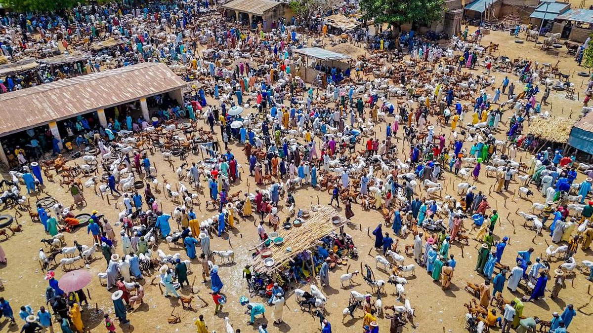abbacouch's tweet photo. Governor Buni’s road projects across Yobe State have boosted mobility and the economy, earning him widespread praise for his people-focused leadership.

#GovernorBuni #YobeState #InfrastructureDevelopment #RoadNetwork #Leadership #EconomicGrowth  #nigeria

@mammanMmohammed https://t.co/SyhyATOTMn