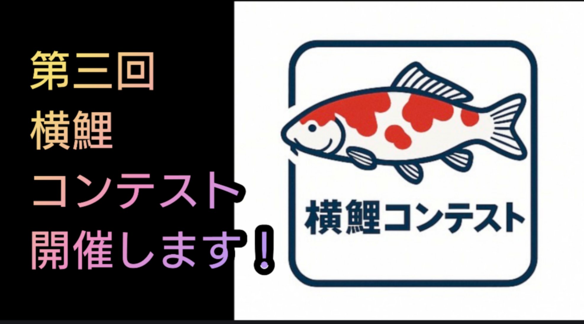 鯉は年々魚の贈物をしている 日本伝統の「泳ぐ芸術品」錦鯉について学ぼう：農林水産省