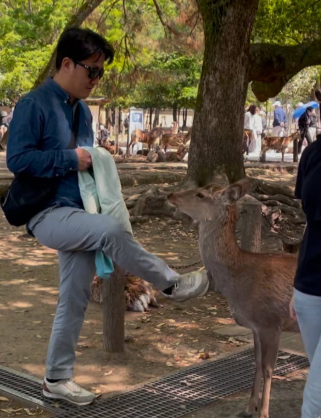 Bapak ahmed suryanto (@bapak7189) on Twitter photo I absolutely won’t forgive this Chinese person.
They kicked a deer five times while laughing.
And when a Japanese man tried to urgently restrain them by pulling, they fled at full speed. 1/3 <a href="/PhaedraXTeddy/">Phaedra</a> <a href="/ECOAlphaTango/">αTYGER Ⓥ 🇺🇸</a> <a href="/GundamNorthrop/">𝙉𝙤𝙧𝙩𝙝𝙧𝙤𝙥 𝙂𝙪𝙣𝙙𝙖𝙢 ∀ 🏛️ ⚔️ DOGE</a> <a href="/zhangtruth1/">萧十一🦊🇺🇦</a> I absolutely won’t forgive this Chinese person.
They kicked a deer five times while laughing.
And when a Japanese man tried to urgently restrain them by pulling, they fled at full speed. 1/3 <a href="/PhaedraXTeddy/">Phaedra</a> <a href="/ECOAlphaTango/">αTYGER Ⓥ 🇺🇸</a> <a href="/GundamNorthrop/">𝙉𝙤𝙧𝙩𝙝𝙧𝙤𝙥 𝙂𝙪𝙣𝙙𝙖𝙢 ∀ 🏛️ ⚔️ DOGE</a> <a href="/zhangtruth1/">萧十一🦊🇺🇦</a>