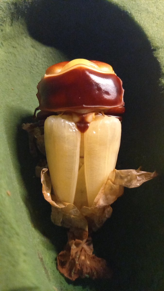 ボーッと見てる🥱