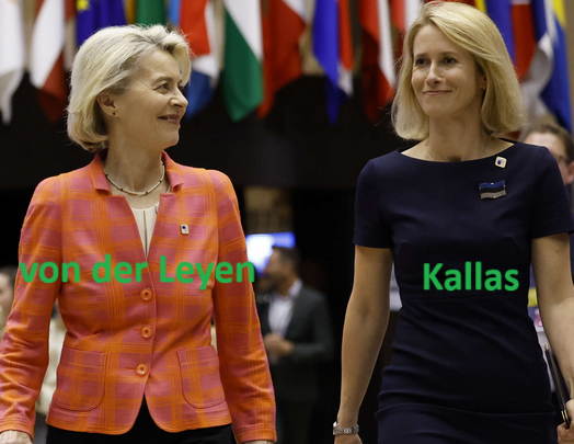 Hast Du einen Opa, schick ihn nach Europa

<a href="/kajakallas/">Kaja Kallas</a> war in Estland unhaltbar, da ihr Mann nach 2022 Russlandgeschäfte machte. <a href="/vonderleyen/">Ursula von der Leyen</a> war in D unhaltbar, da sie mit der „Berateraffäre” Millionen versenkte. Heute sind sie die Spitze der Kriegstreiber. 

Hintergrund: Seit