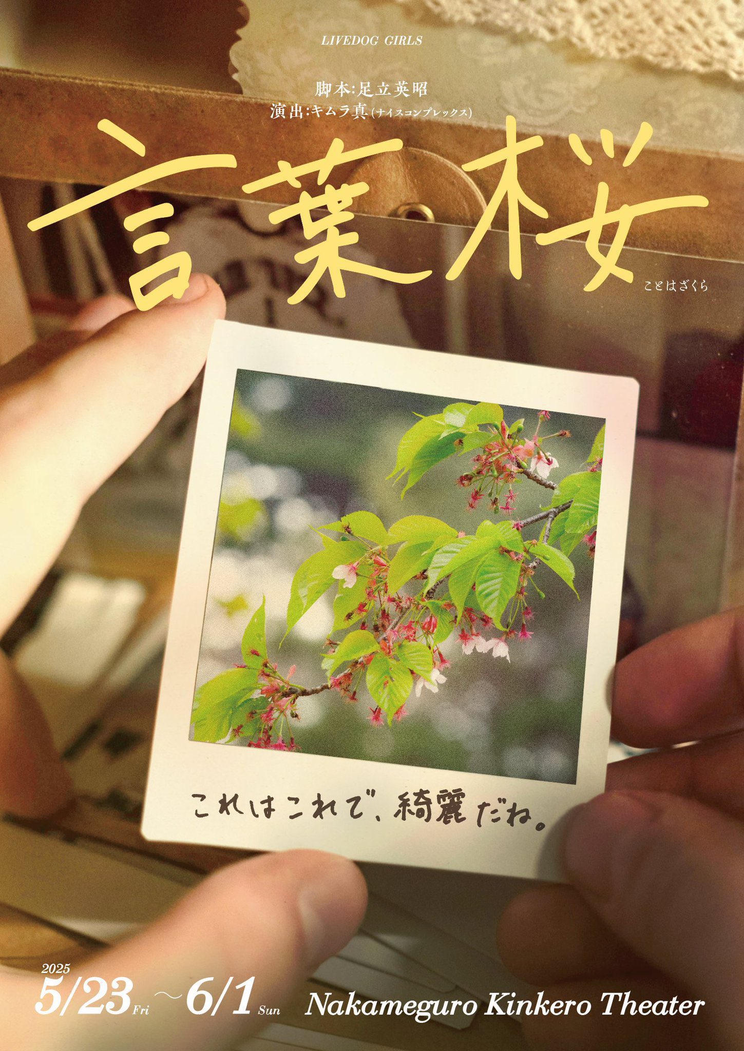橋本啓一 ~Keiichi Hashimoto~ (@keyhash) / X 橋本啓一 ~Keiichi Hashimoto~ (@keyhash) / X