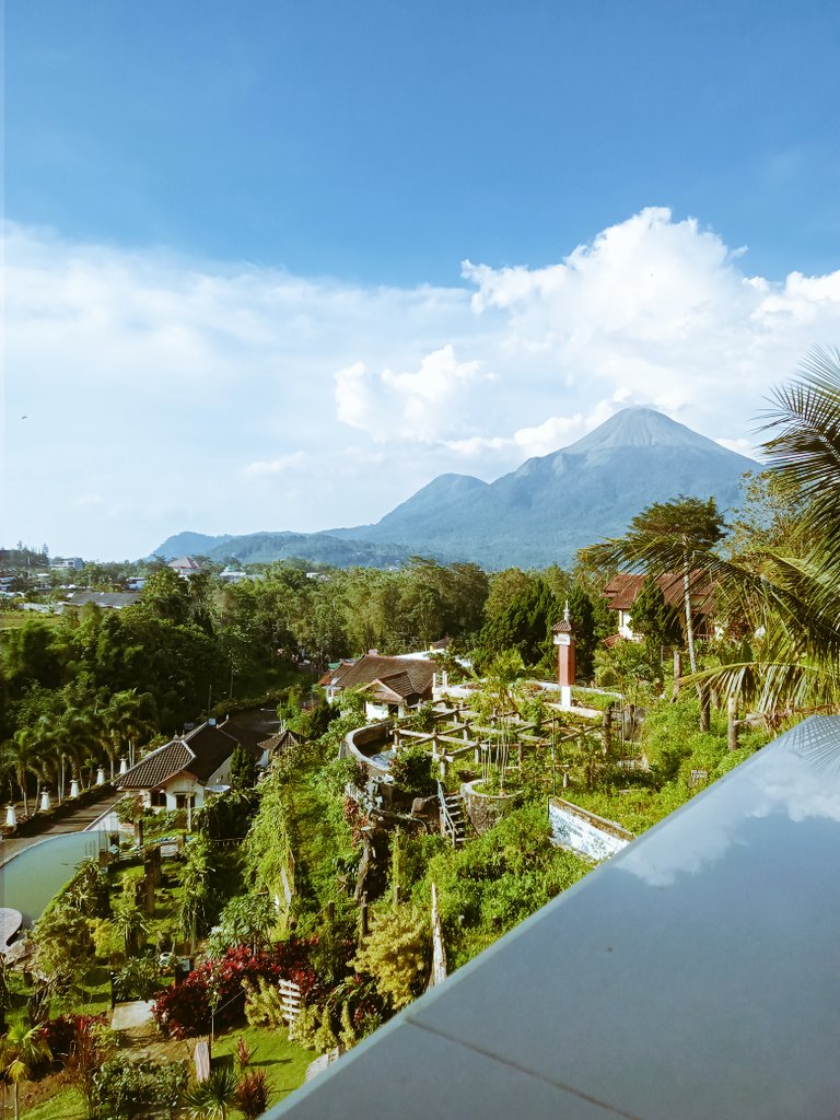 secret of tweet media