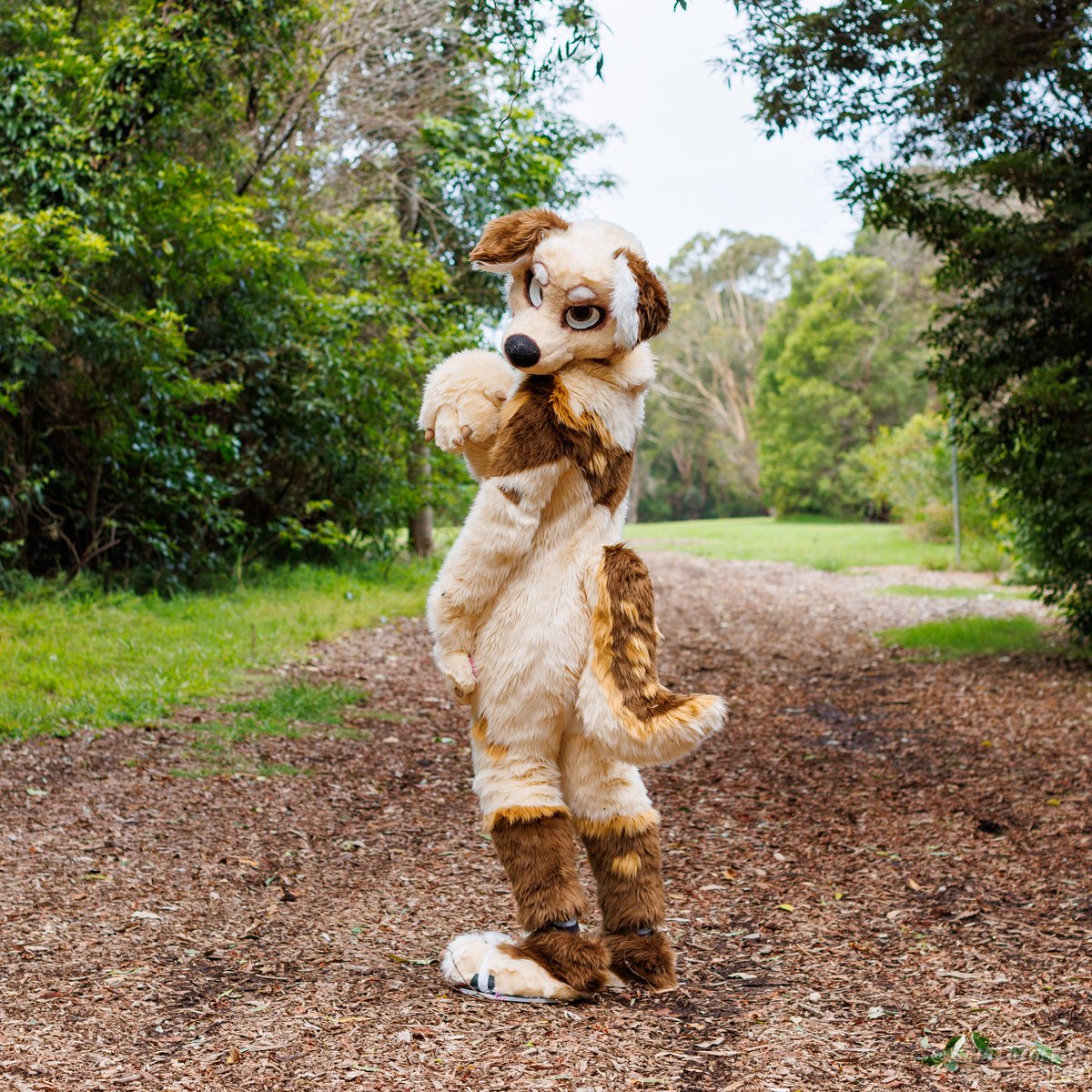 Butt.
📸 (1, 2, 4): <a href="/coltofox/">Colto Fox</a> 
📸 (3): <a href="/easysquisher_/">easysquisher</a>