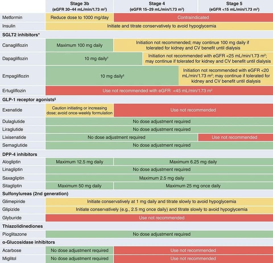 🔴Anti-Diabetic Drugs - Dosing in CKD⤵️

🔸️As per latest recommendations Dapagliflozin can be initiated at eGFR &gt; 20 and continued till RRT.

🔸️Also pioglitazone doesn't require dose adjustment for any stage of CKD.

️diabetesjournals.org/care/article/4…
 #FOAMed #MedEd #medstudent