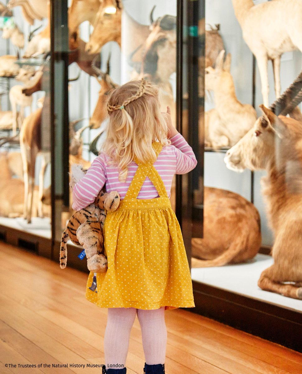It's that time again! We're excited to be running SENDsational Mornings on 25 May for neurodivergent children and their families. May's theme is RAINFORESTS 🌴🐵🪲. Enjoy a free gallery trail, craft and handling activity.

Book tickets via our website: tinyurl.com/4rffe47h
