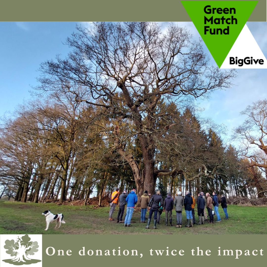 Big Give’s #GreenMatchFund. ATF is entirely dependent on our community of dedicated volunteers and those that labour to understand the opportunities and threats posed by new legislation, consultations, and funding. Please donate if you like what we do tinyurl.com/yznn5x5e