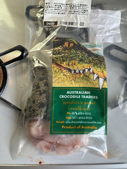 姪っ子達がカエルに続いてワニが食べたいと言うのでワニを購入!
ワニの手の皮膚部分が気持ち悪いとの事で口付けず…カエルは良くてワニがダメなの分からんッ( '_ゝ`) 