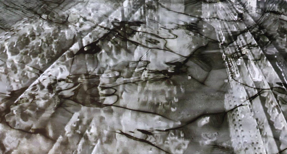 【Performance】
TEDxUTokyo 2025 次のパフォーマーは他者を通じて自己を知ることを創作の軸に、コンテンポラリーダンスを用いた作品制作を行っている、東京藝術大学美術研究科先端芸術表現専攻の橋本真那さんでした！