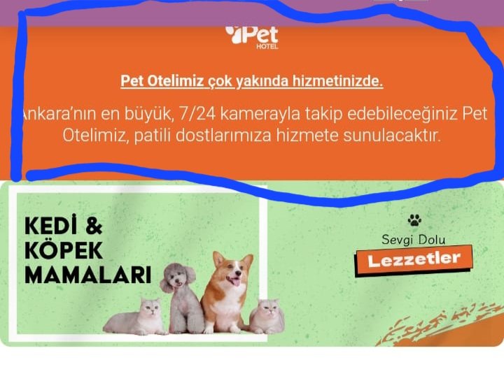 Bu firmanın sahibi patiliköy canan koç'un kardeşi emre kapandır,.
Mamaları yok ama, Ankaranın en büyük hayvan otelini açacak imkanları var. Bu otelde kim kalacak sizce?  Hangi hayvanlar, kimin hayvanları.

Paranız başka yere gitmesin sizde varsa hayvanınız cananların oteline